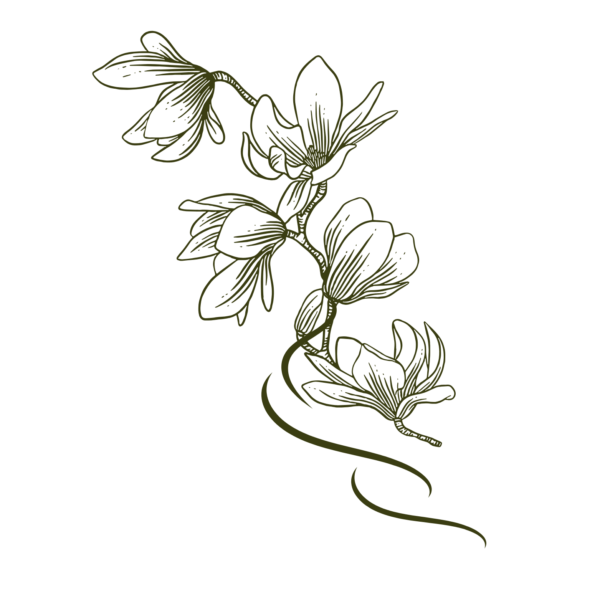 Magnolia incense